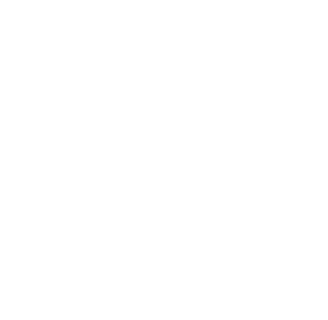 Vector Point logo